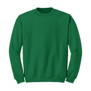 Radsow Apparel - Sweatshirt Col Rond Paris pour hommes